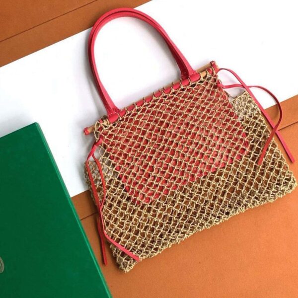 Goyard Aligre Bag