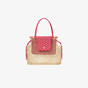 Goyard Aligre Bag