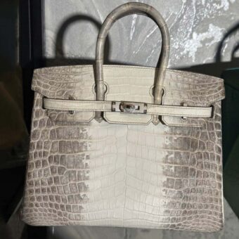 Hermès Birkin 25 with Palladium Hardware
