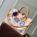 LV x TM Speedy Soft 30 Other Monogram Canvas