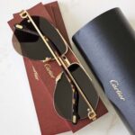 Cartier CT0427S 001 Sunglasses