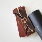 Cartier CT0427S sunglasses