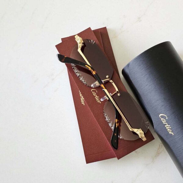 Cartier CT0427S sunglasses