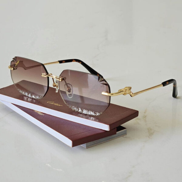 Cartier CT0427S sunglasses