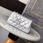 Chanel Clutch with Chain