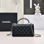 Chanel Trendy CC WOC - Relief Shoulder Bag