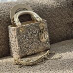 DIOR Lady Dior Micro Bag