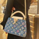 Louis Vuitton Capucines Mini Bag