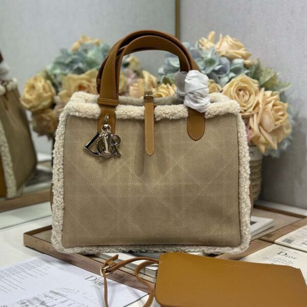 Dior Medium Dior Toujours Bag
