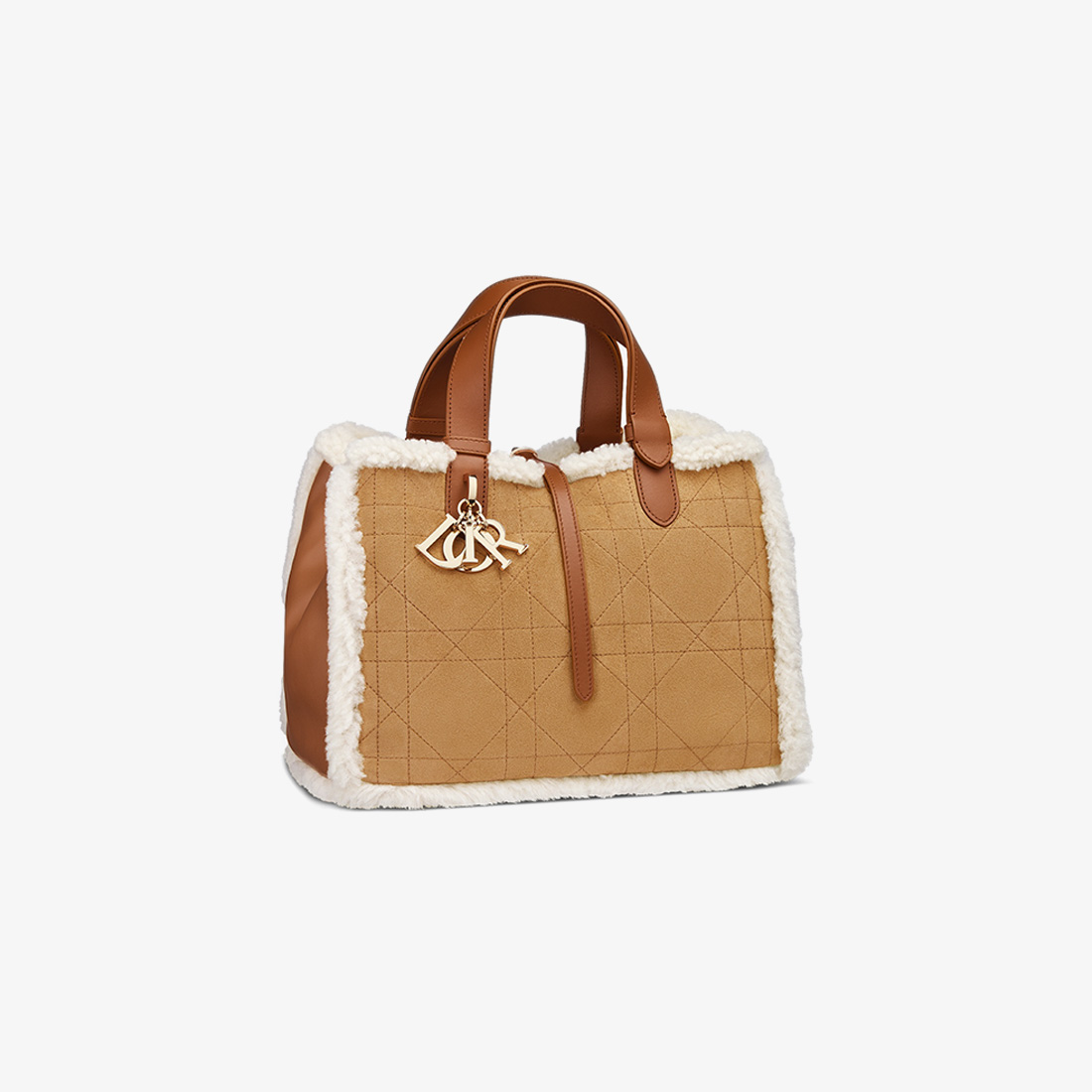 Dior Medium Dior Toujours Bag