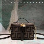 Fendi Vanity Bag