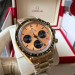 Omega Speedmaster Moonwatch Professional