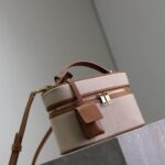 Saint Laurent Vanity Bag with Strap