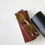 Cartier Panthère CT0504S Sunglasses