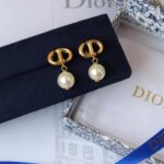 DIOR Petit CD Earrings