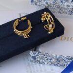 Dior D-Backstage Earrings