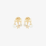 Dior Dio(r)evolution Earrings