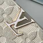 Louis Vuitton Capucines Mini Handbag