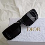 Dior Wildior S2U Sunglasses