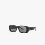 Dior Wildior S2U Sunglasses