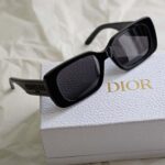 Dior Wildior S2U Sunglasses