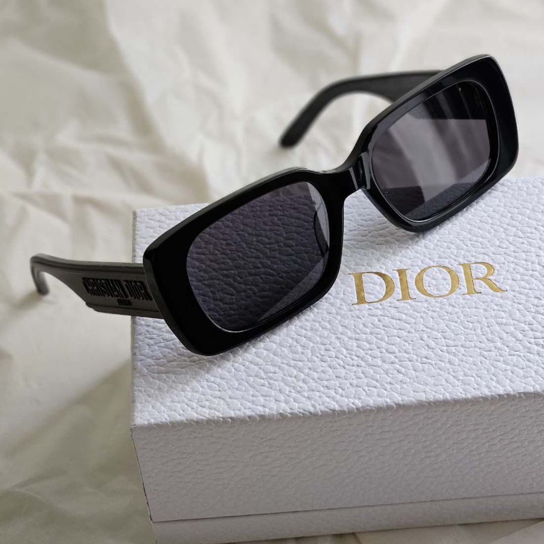 Dior Wildior S2U Sunglasses