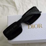 Dior Wildior S2U Sunglasses