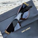 Saint Laurent Cat-Eye Sunglasses – Bold Contrast Edition - Image 2