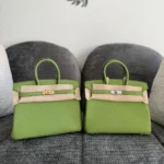 Birkin-togo-leather-25-Pistachio-color
