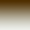 Brown Gradient color img