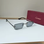 Cartier CT0598S Silver Grey