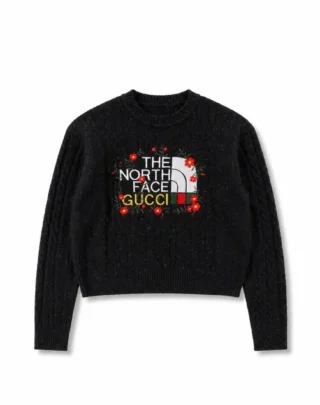 Gucci x The North Face Embroidered